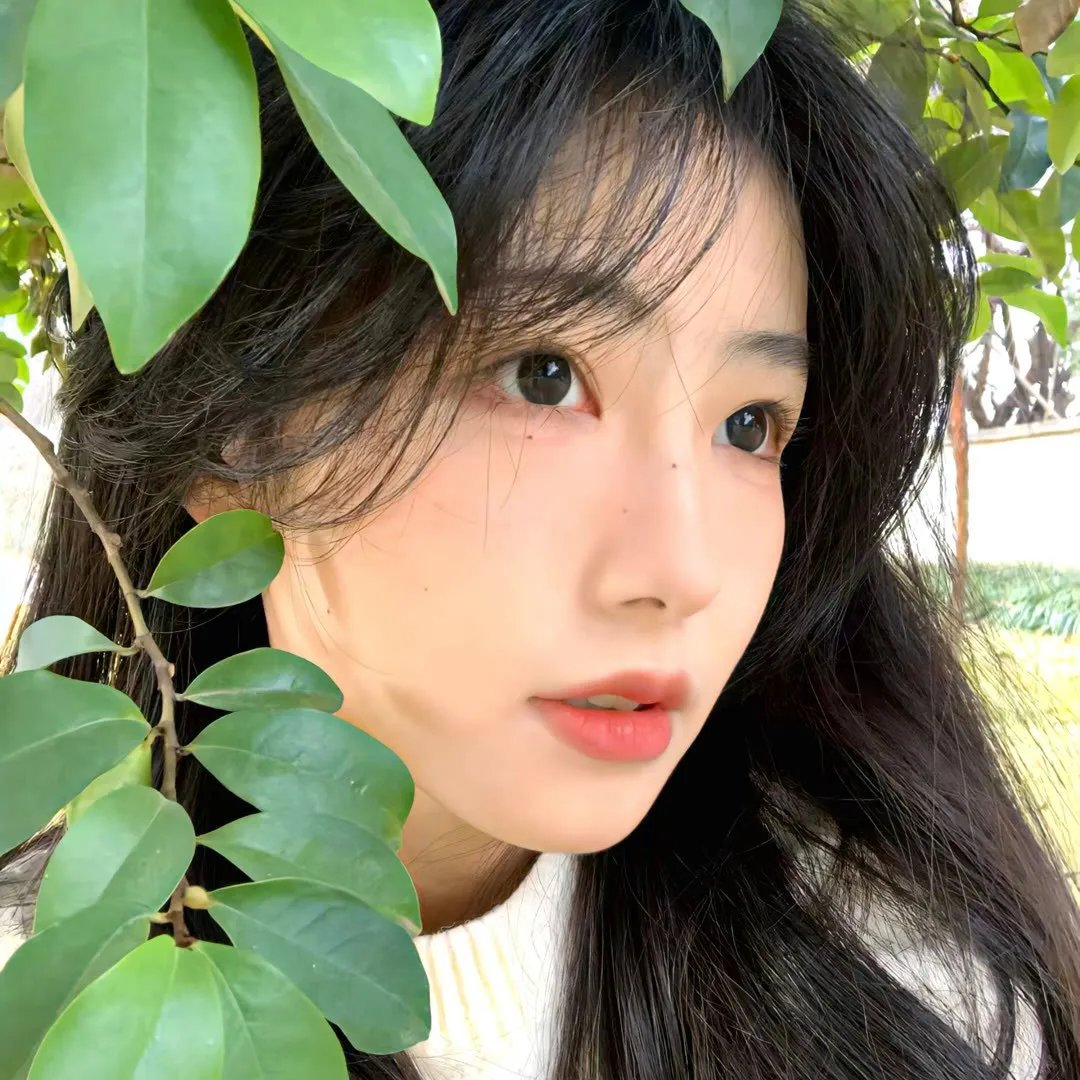 大案组