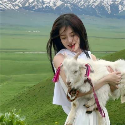 刑事7人 第八季
