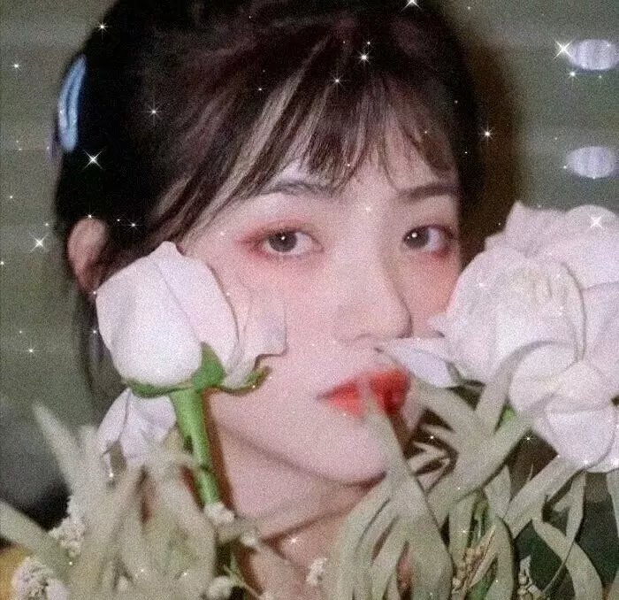 圣殿奇妙夜